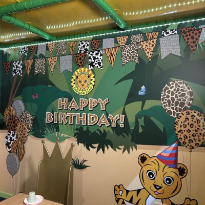 Tigers Indoor Play 3