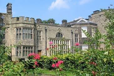 The Museum Gardens