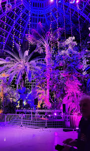 Sefton Park Palm House 3