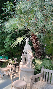 Sefton Park Palm House 5