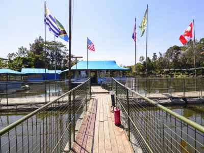 Floating Restaurant