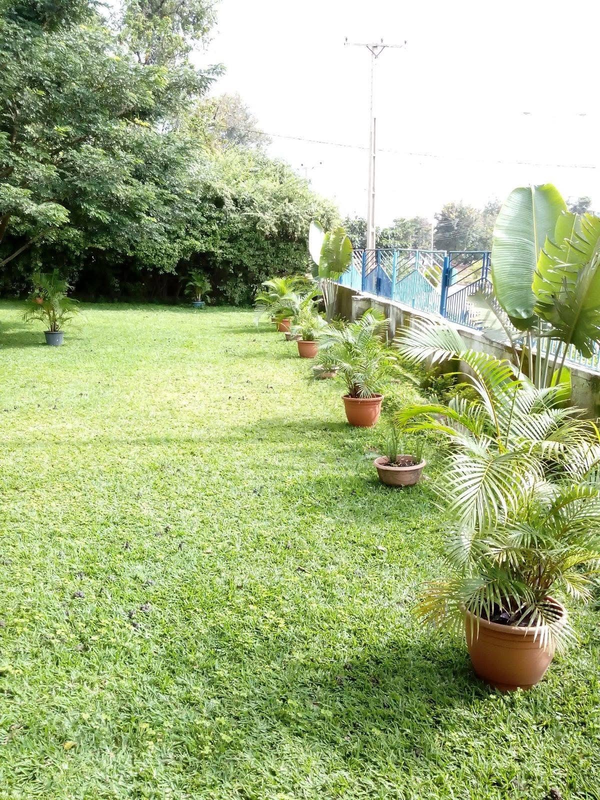 Bedazzled Garden Event and Decor 3