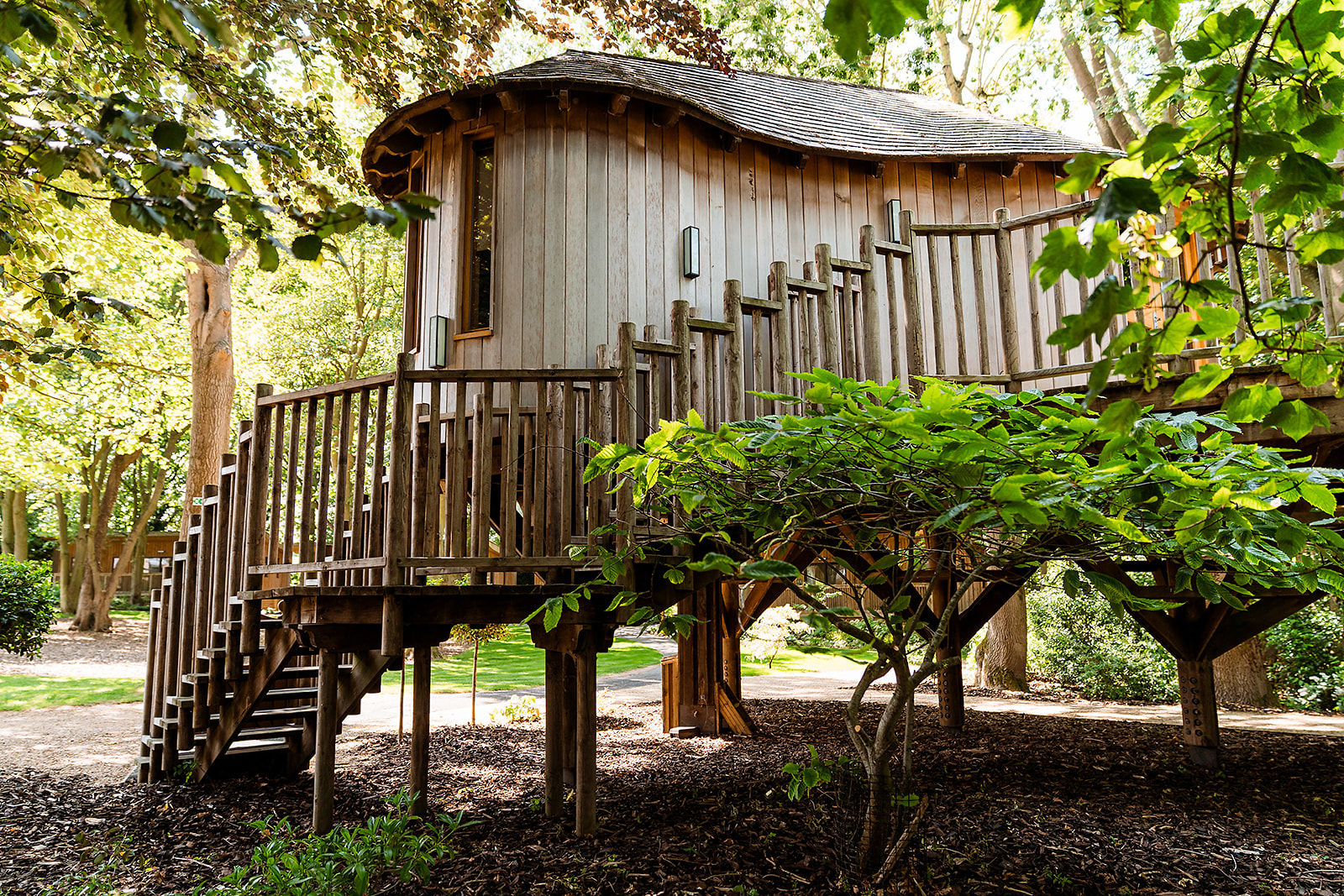 The Treehouse