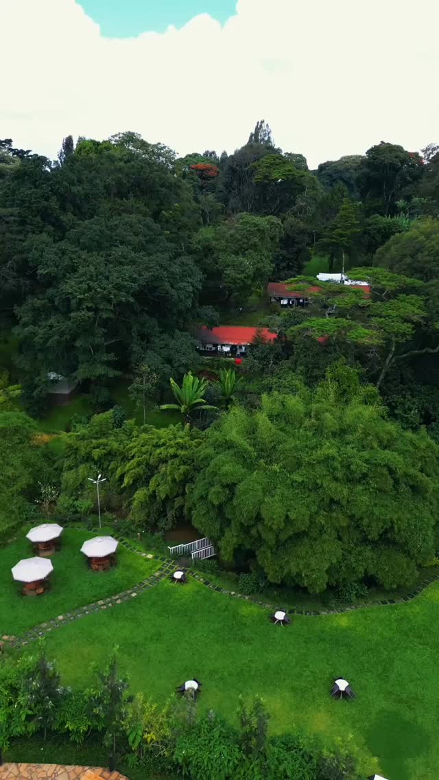 Manicured Event Gardens