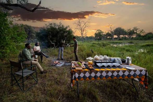 Brave Africa 4