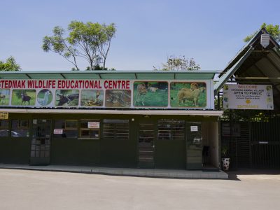 Animal Park