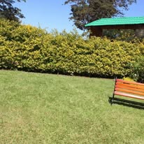Lebetty’s Events Garden 2
