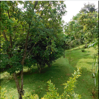 Gardens & Outdoor Grounds