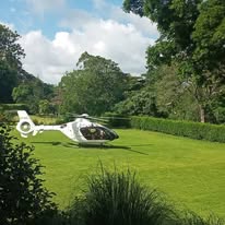 Eva's Garden 2