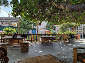 fundacao arte e cultura 3