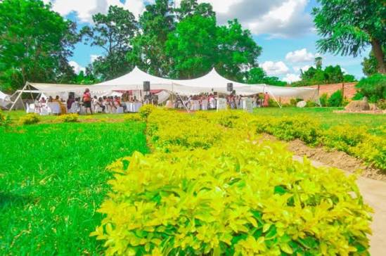 Colorful Events Gardens 3