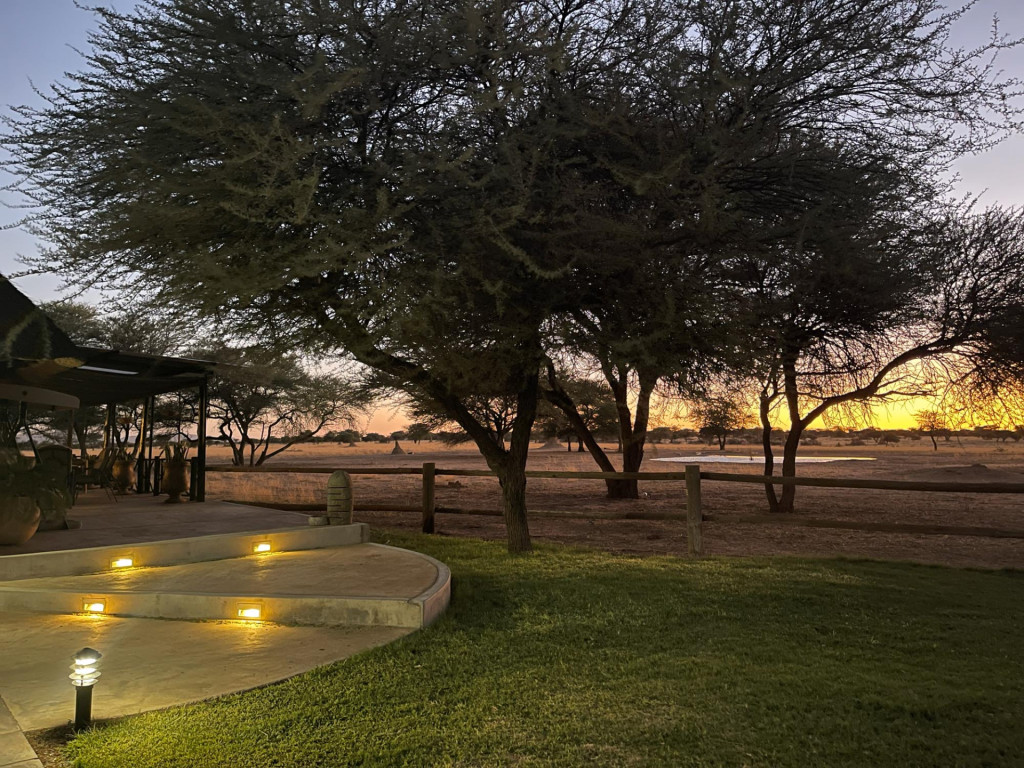 Avenir Safari Group 4