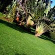 Vester Gardens 2