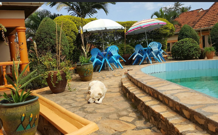 Swimming Pool & Poolside Area