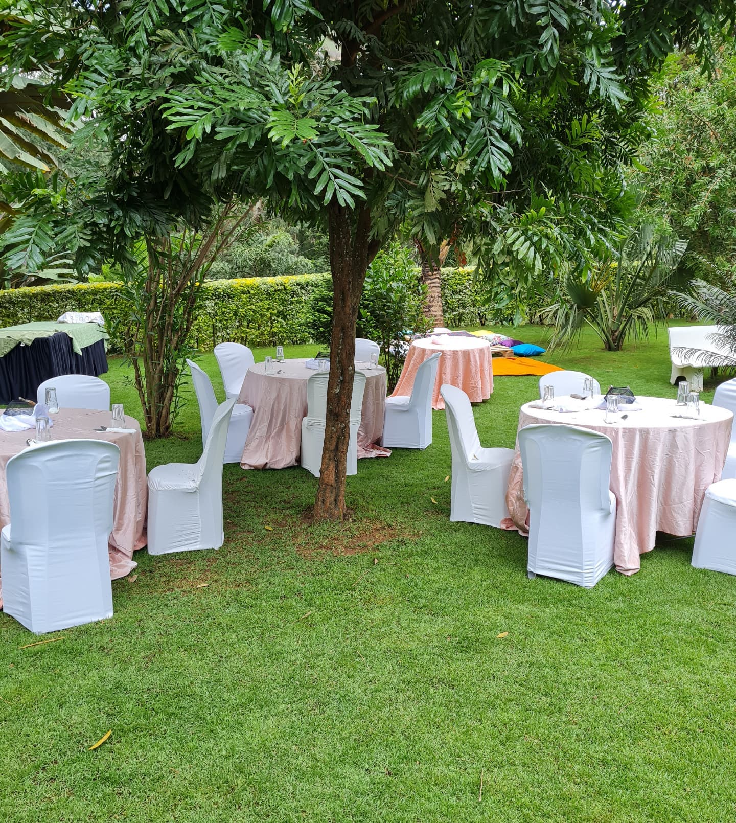 Manicured Terraced Lawns